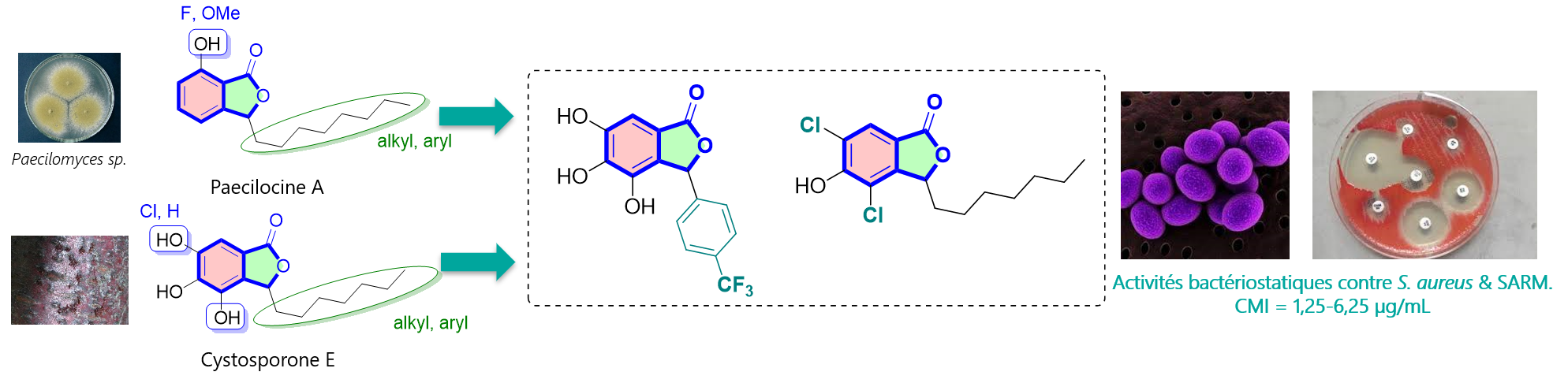 antibactériens