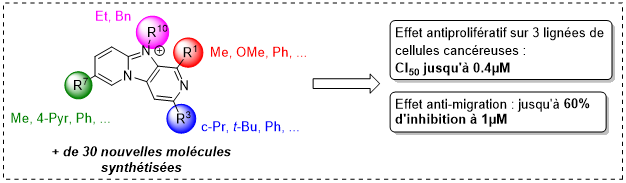 anticancéreux imidazodipyridines