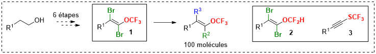 briques moléculaires fluorées