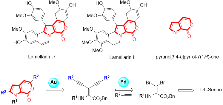 Lamellarines