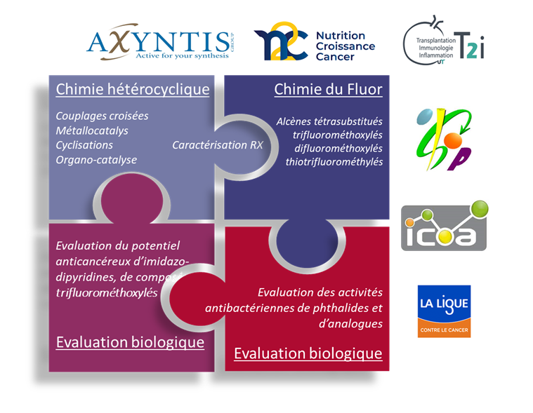 Synthèse nouvelles structures moléculaires